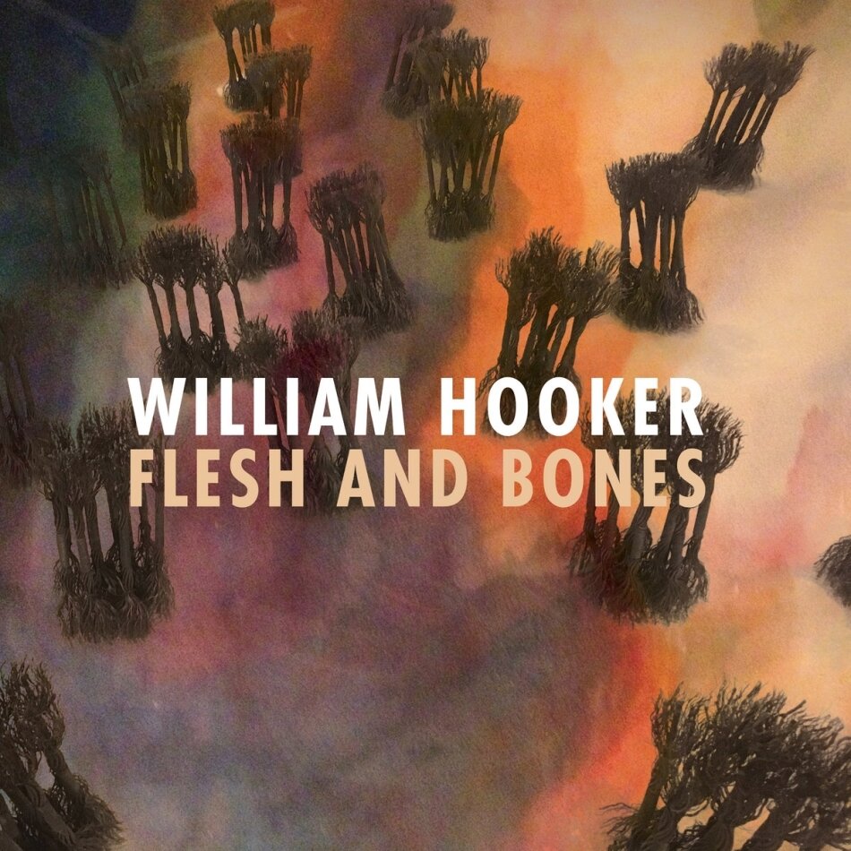William Hooker - Flesh And Bones LP