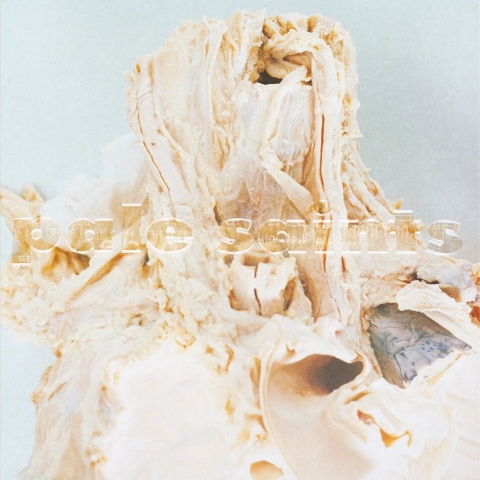 The Pale Saints - In Ribbons 2023 Reissue, Limited Edition, 2 LPs