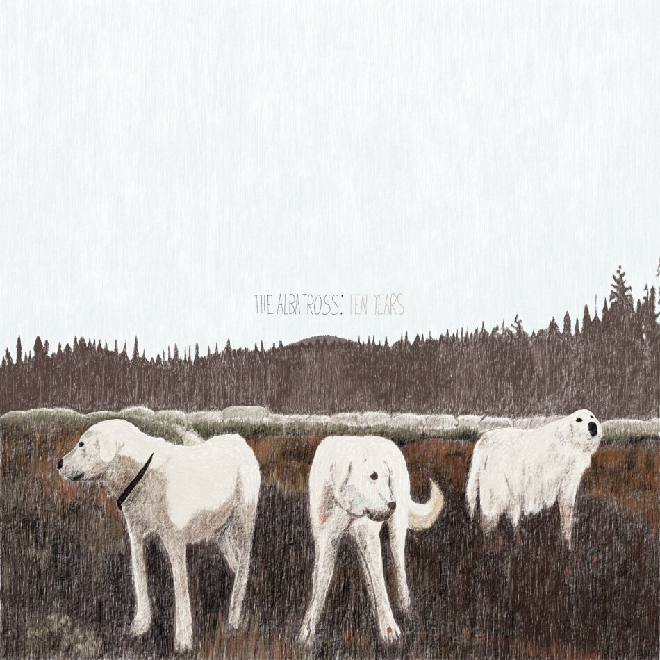 Foxing - Albatross: Ten Years Brown Vinyl, LP