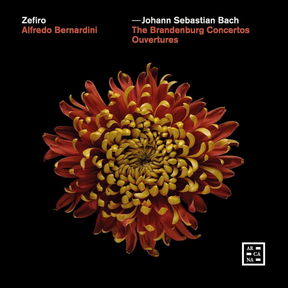 Johann Sebastian Bach (1685-1750), Alfredo Bernardini & Zefiro - The Brandenburg Concertos - Ouvertures 3 CD