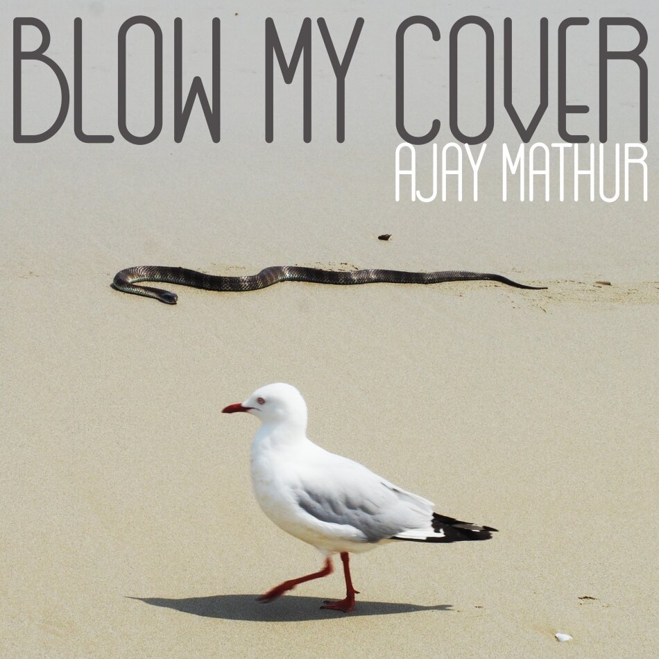 Ajay Mathur - Blow My Cover LP