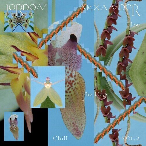 Jordon Alexander - How The Dogs Chill Vol. 2 12" Maxi