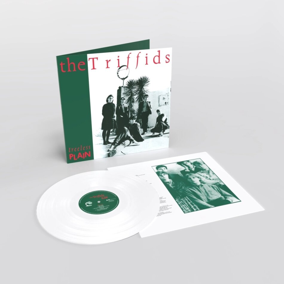 The Triffids - Treeless Plain 2024 Reissue, Édition 40ème Anniversaire, LP