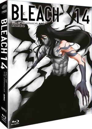 Bleach - Arc 14 - Part 2: Fall of the Arrancar (First Press Limited Edition, 4 Blu-rays)