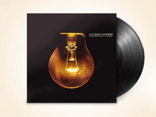 Damian Wilson - Can We Leave The Light On Longer LP