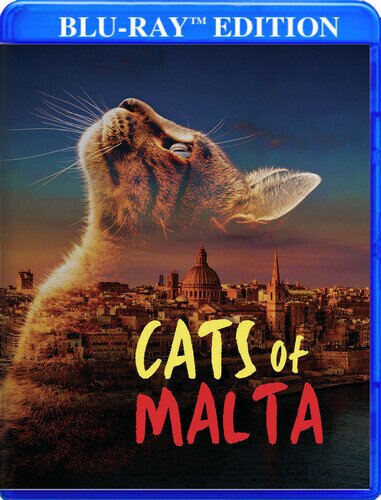 Cats of Malta (2023)