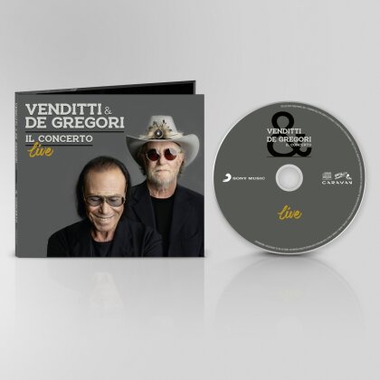 Antonello Venditti & Francesco De Gregori - Il Concerto
