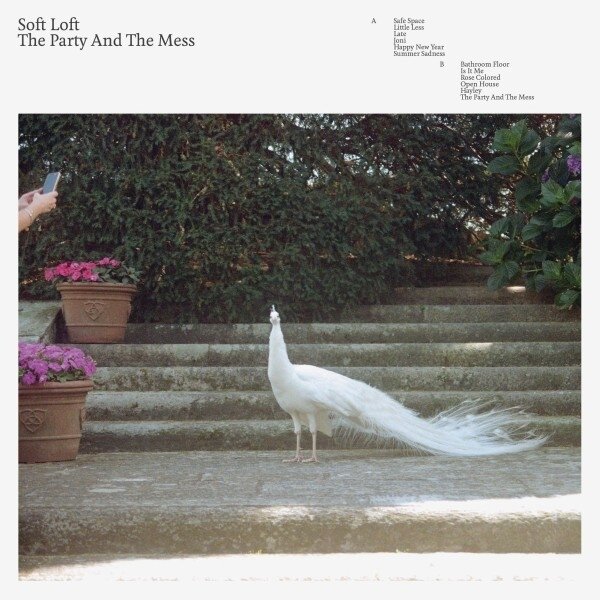 Soft Loft - The Party And The Mess standard, LP