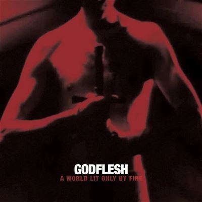 Godflesh - Post Self (2024 Reissue, Avalanche Recordings, Blue Vinyl, LP)