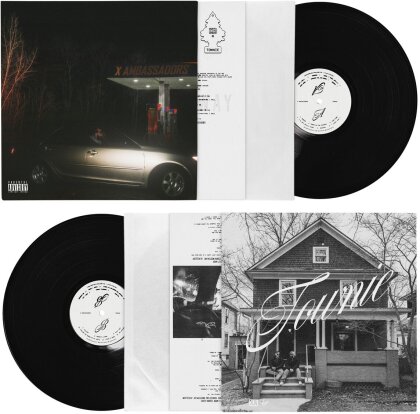 X Ambassadors - Townie (LP)