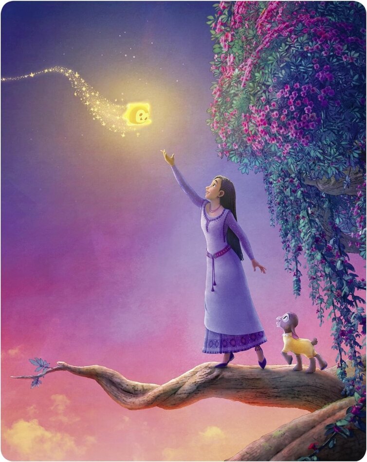 Wish (2023) Limited Edition, Steelbook