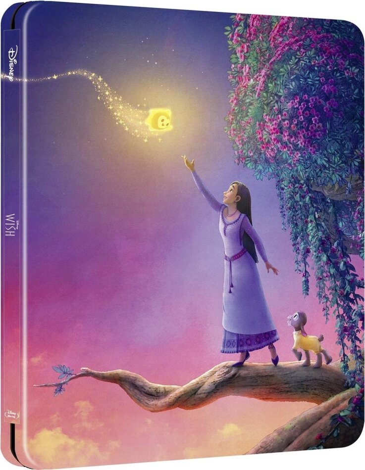 Wish (2023) Edizione Limitata, Steelbook