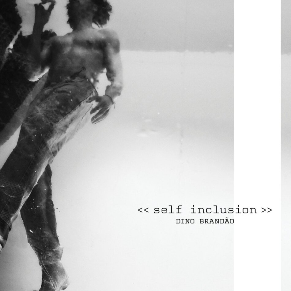 Dino Brandao - Self-Inclusion