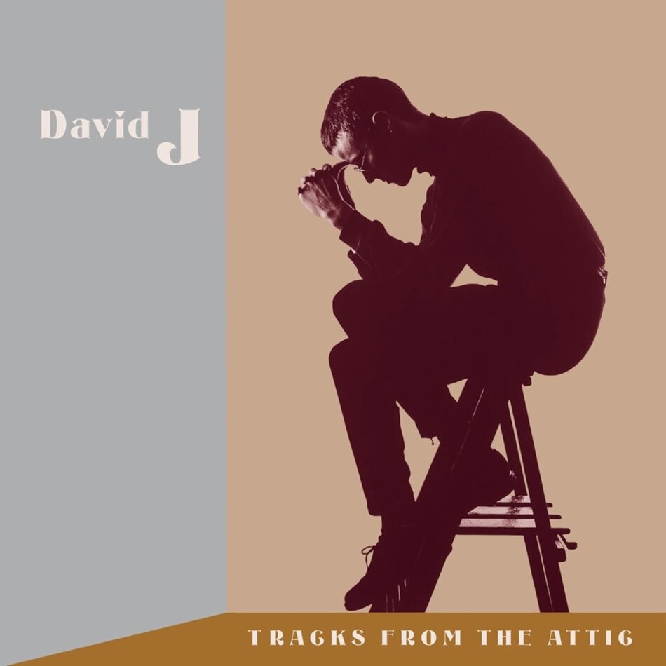 David J - Tracks From The Attic Brown Opaque Vinyl, 3 LPs + 3 CDs