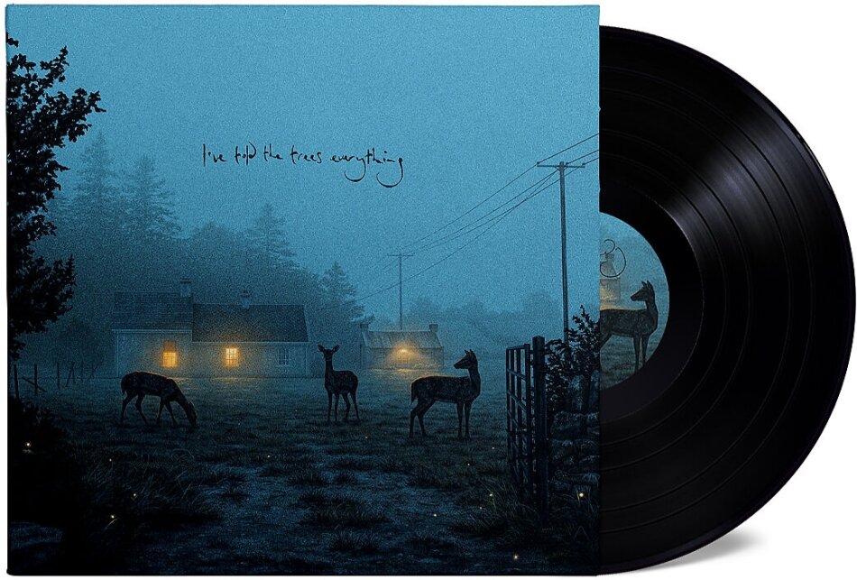 Dermot Kennedy - I've Told The Trees Everything (V12) LP