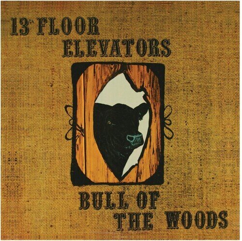 The 13th Floor Elevators - Bull Of The Woods Half Speed Master, 2024 Reissue, 2 LPs
