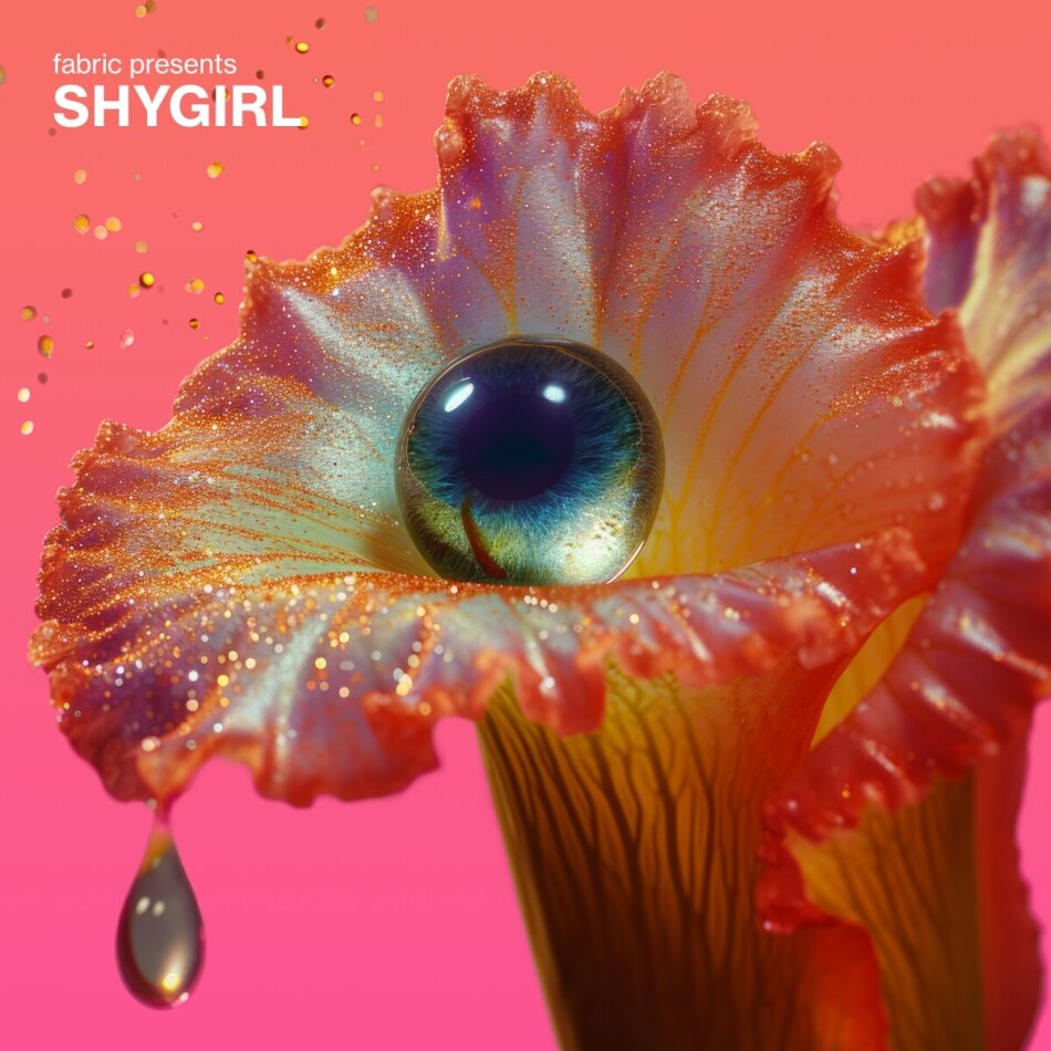 Shygirl - fabric Presents Shygirl 2 LPs