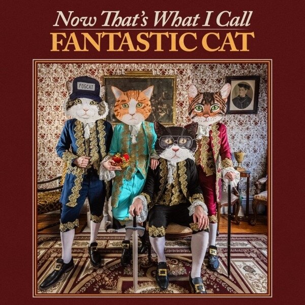 Fantastic Cat - Now That's What I Call Fantastic Cat LP