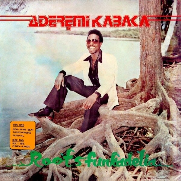 Remi Kabaka - Roots Funkadelia LP