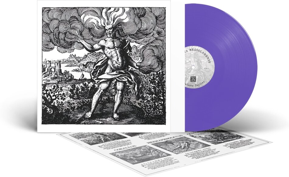 Camerata Mediolanense - Atalanta Fugiens 140 Gramm, Purple Bio Vinyl, LP