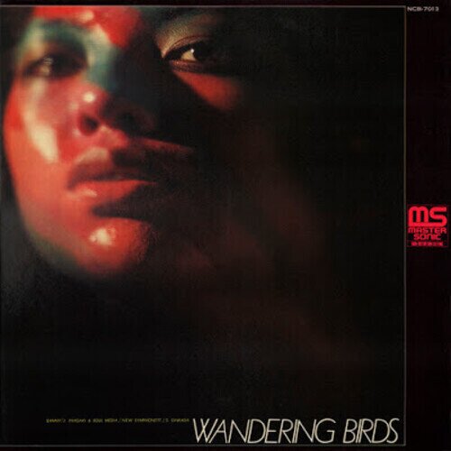 Soul Media & Jiro Inagaki - Wandering Birds 2024 Reissue, Nipponophone, Japan Edition, LP