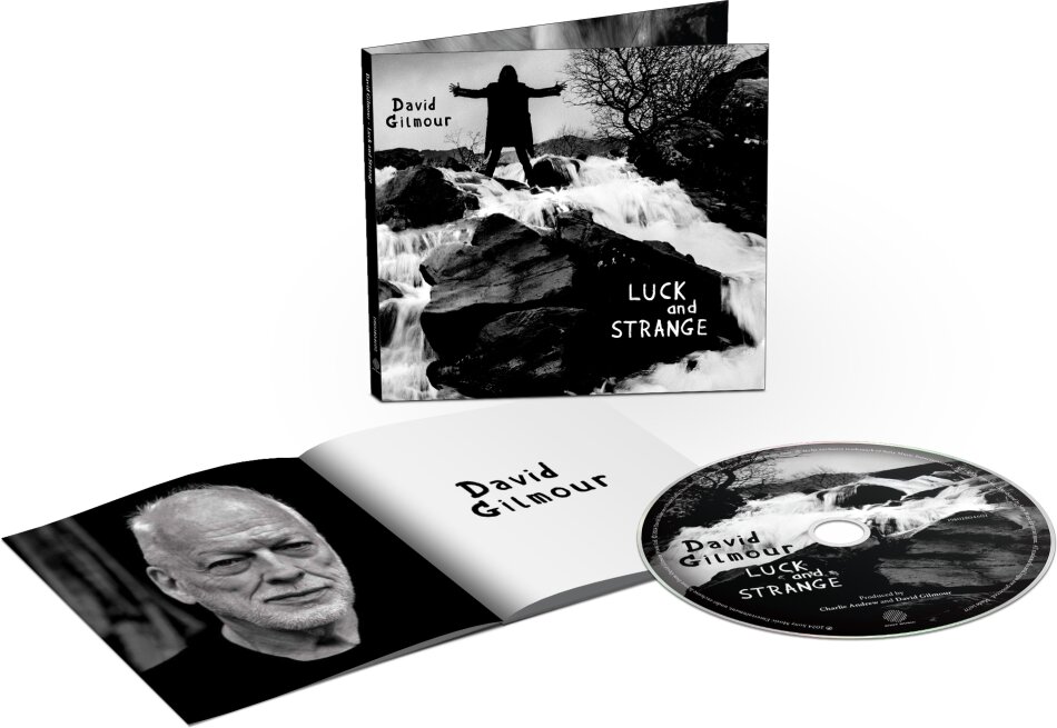 David Gilmour - Luck and Strange