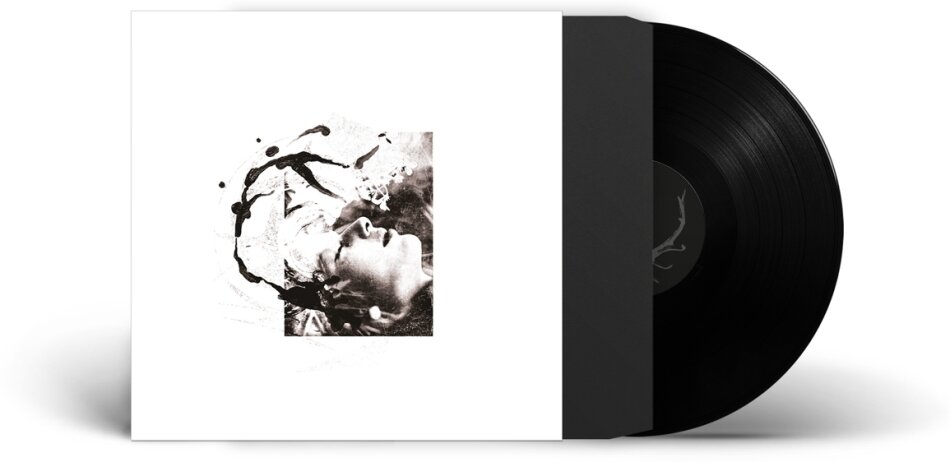 Tenhi - Airut:Aamujen 2024 Reissue, Auerbach, LP