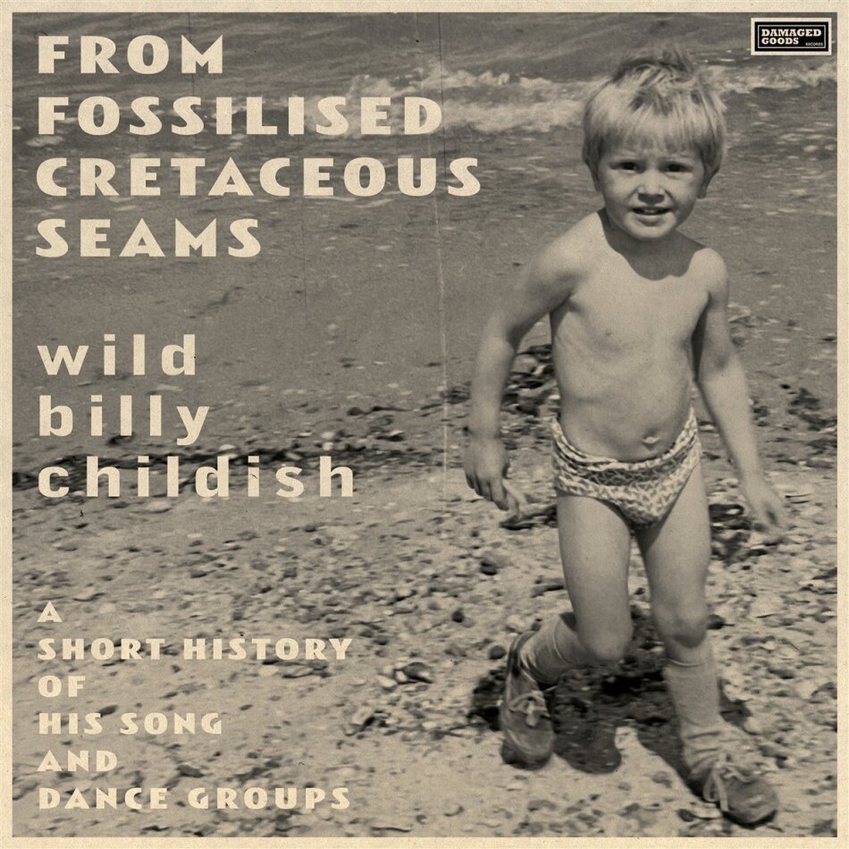Wild Billy Childish - From Fossilised Cretaceous Seams: A Short History Of His Song And Dance Groups 2 LPs