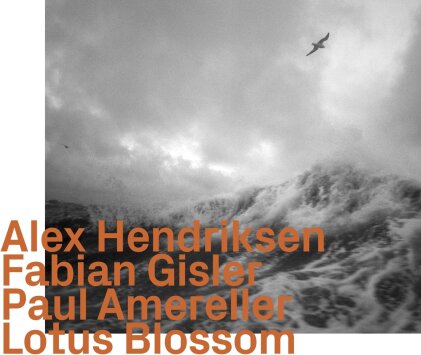 Alex Hendriksen, Fabian Gisler & Paul Amereller - ---