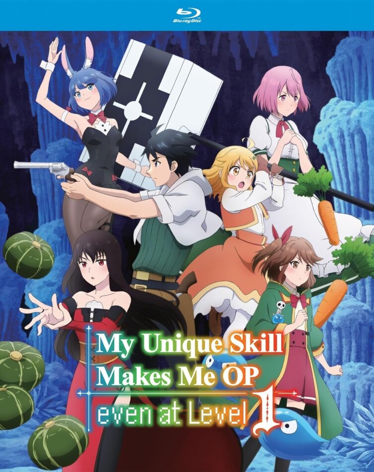 My Unique Skill Makes Me OP even at Level 1 - The Complete Season 2 Blu-rays