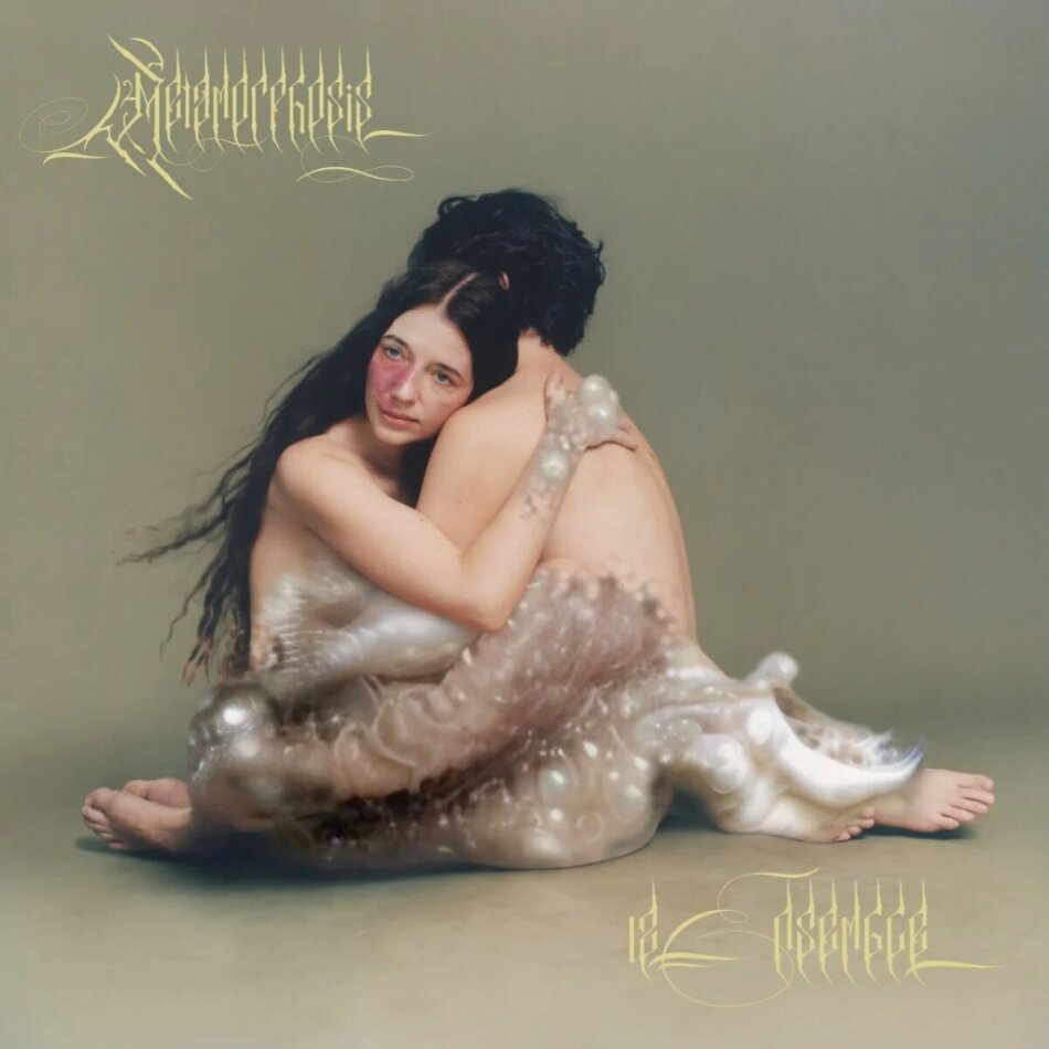 12 Ensemble - Metamorphosis Gatefold, Deluxe Edition, 2 LPs