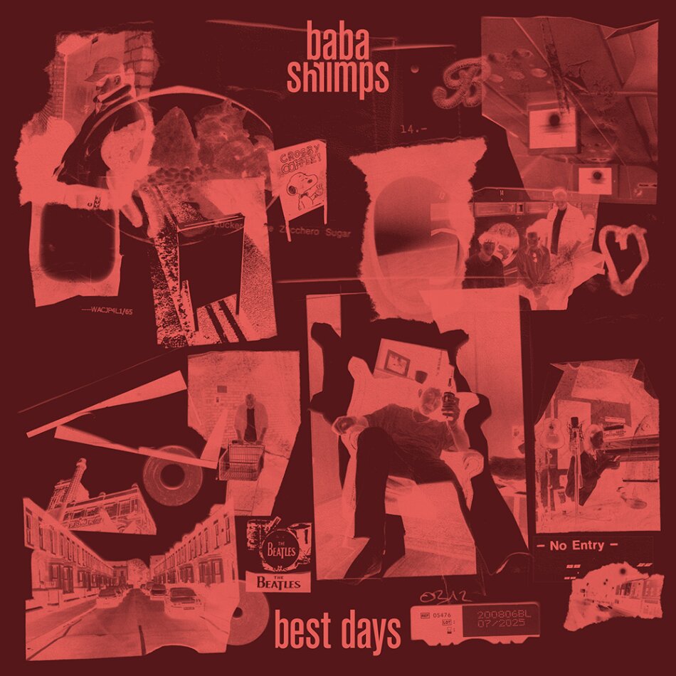 Baba Shrimps - Best Days