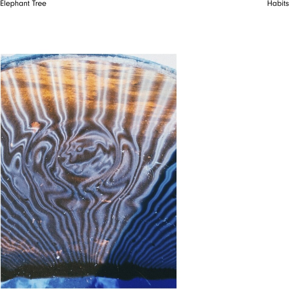 Elephant Tree - Habits 2024 Reissue