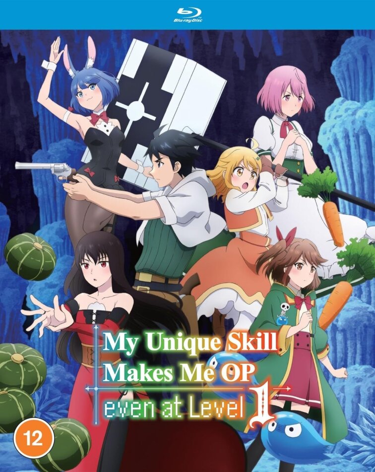 My Unique Skill Makes Me OP even at Level 1 - The Complete Season 2 Blu-rays