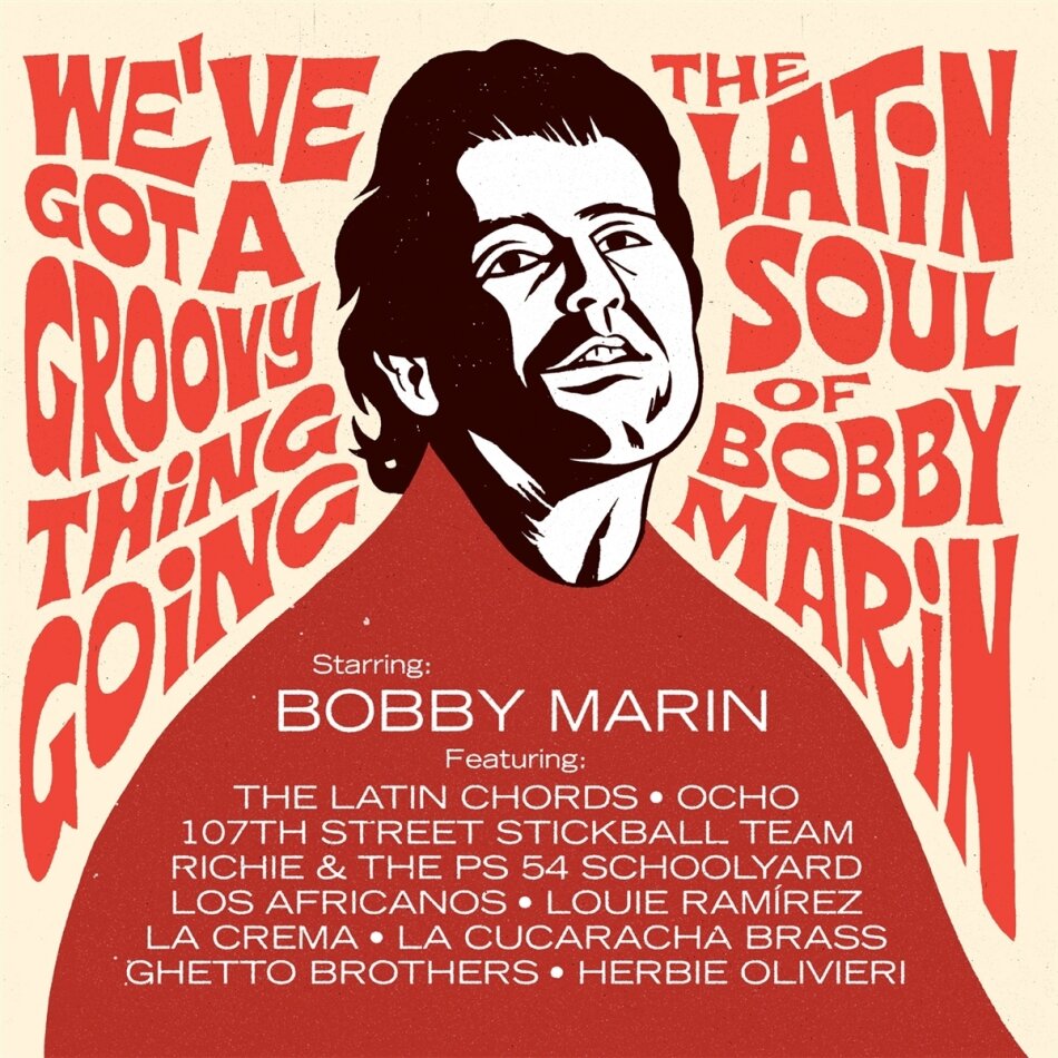 We've Got A Groovy Thing Going: Latin Soul 2 LPs