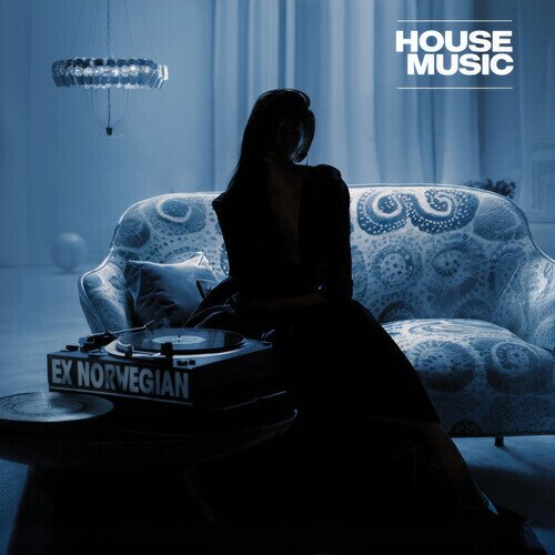 Ex Norwegian - House Music 2024 Edition, Think Like A Key Records