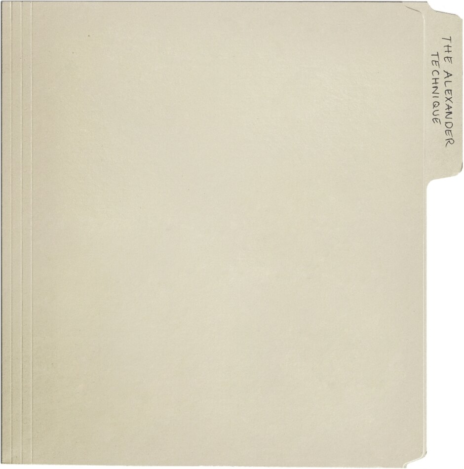 Rex Orange County - Alexander Technique 140 Gramm, Gatefold, + Poster, 2 LP