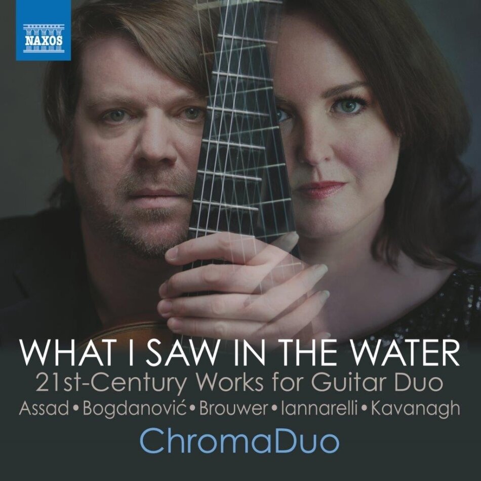 ChromaDuo, Dusan Bogdanovic & Dale Kavanagh - What I Saw In The Water