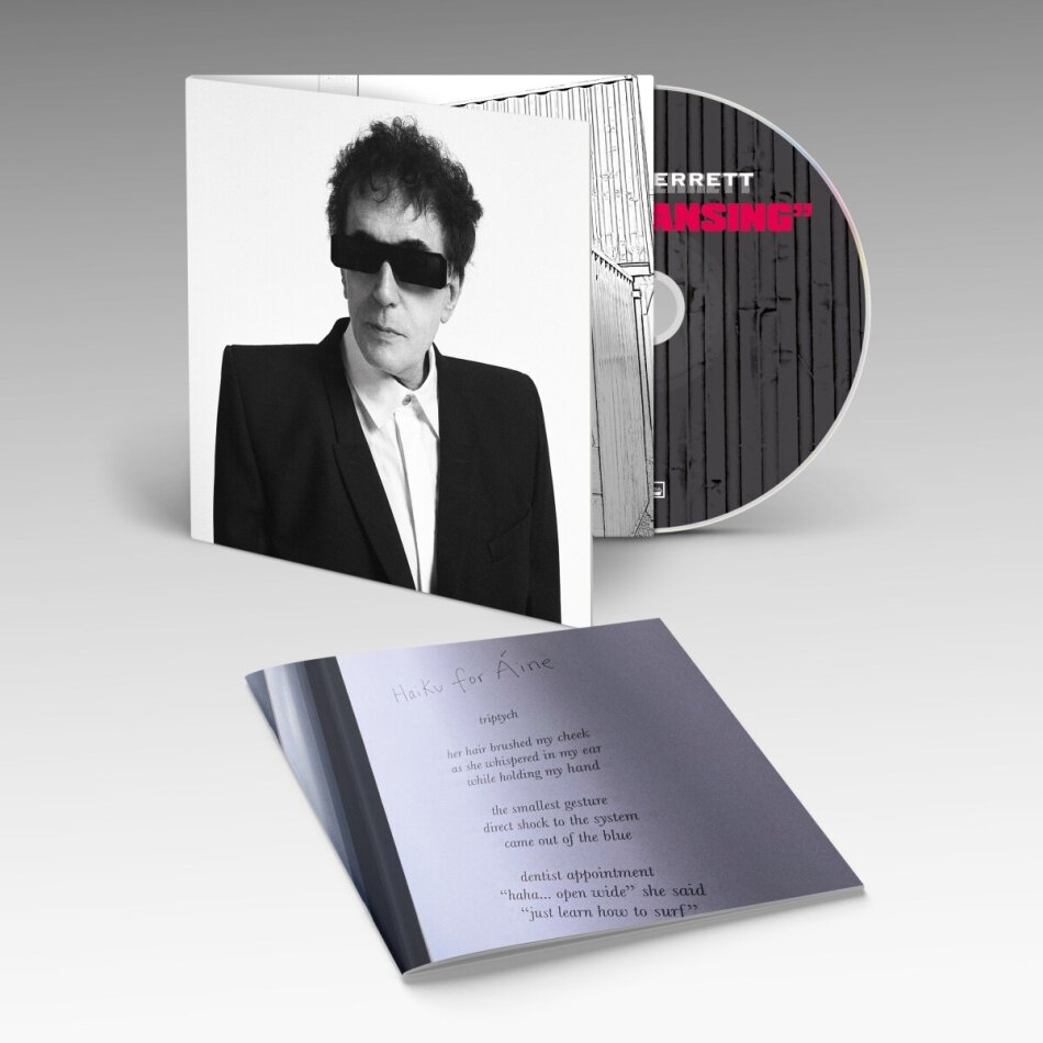 Peter Perrett (The Only Ones) - The Cleansing