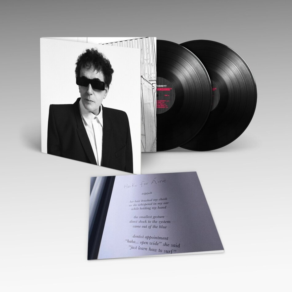 Peter Perrett (The Only Ones) - The Cleansing 2 LPs