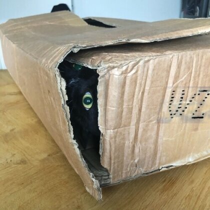 V/Z - Suono Assente (LP)