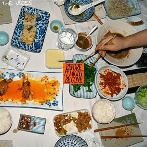 The Vices - Before It Might Be Gone LP