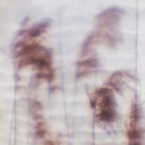 Ovid - Dream Sequence EP 12" Maxi
