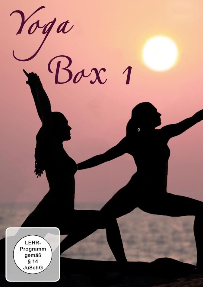 Yoga Box 1 Bundle, 6 DVD