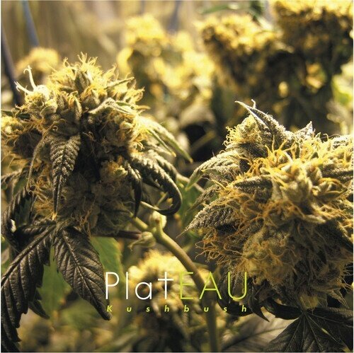 Plateau - Kushbush + Music For Grass Bars LP