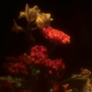 Grégoire Gerstmans - Hypnagogie