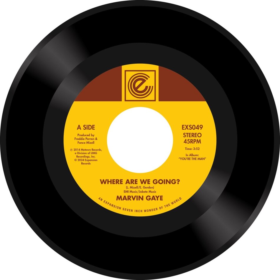 Marvin Gaye - Where Are We Going? / Woman Of The World 7" Single