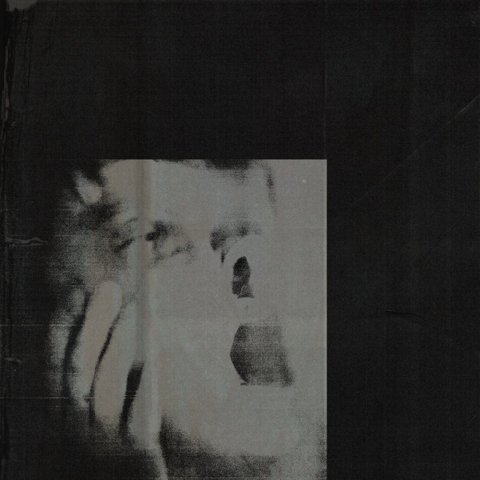 Ditz - Never Exhale LP