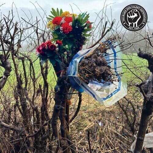 Black Dog - Sleep Deprivation