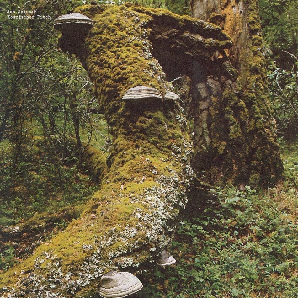 Jan Jelinek - Kosmischer Pitch 2025 Reissue, LP
